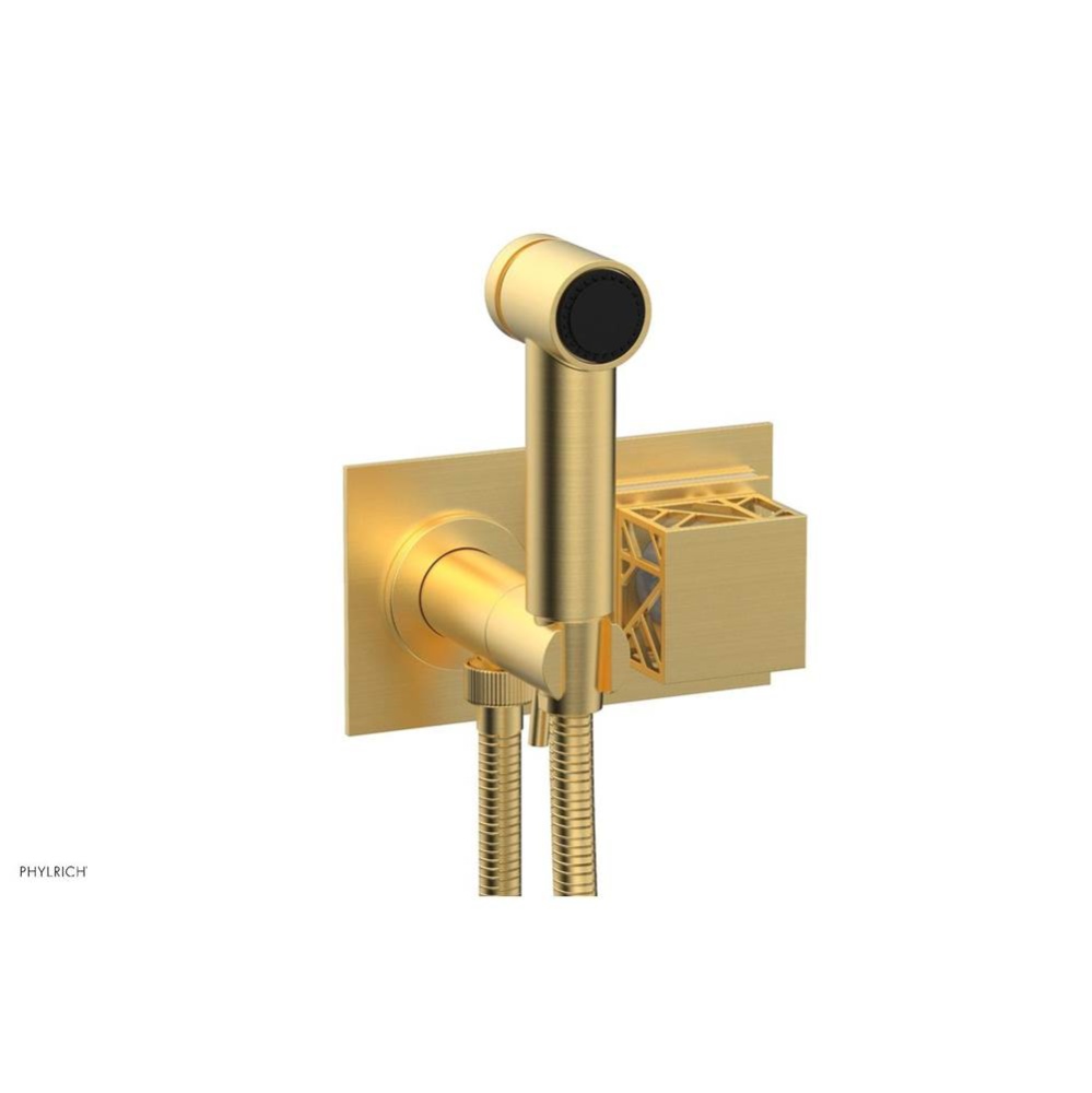 Burnished Gold Jolie Wall Mounted Bidet Set With Rectangular Trim, Square Cutaway Handle, And Glos
