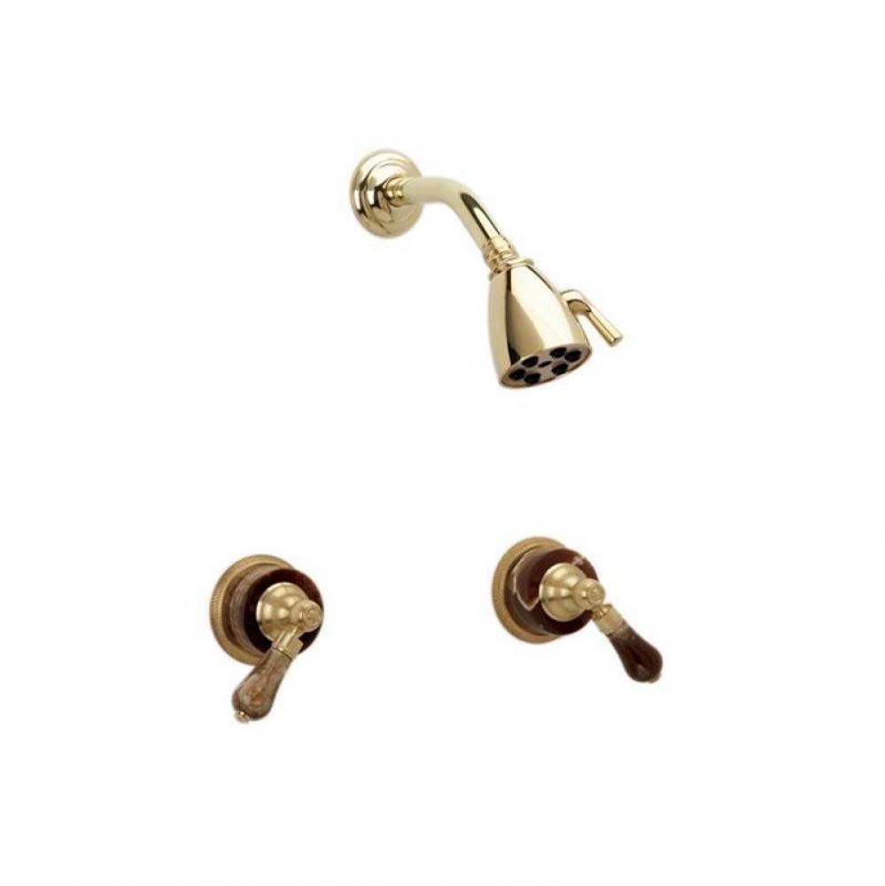 2 Handle Shower, Mon