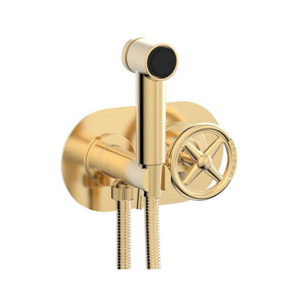 Wall Mounted Bidet Set Works, Cross Handle
