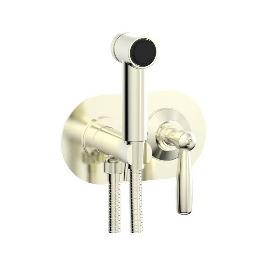 Wall Mounted Bidet Set Works, Lever Handle