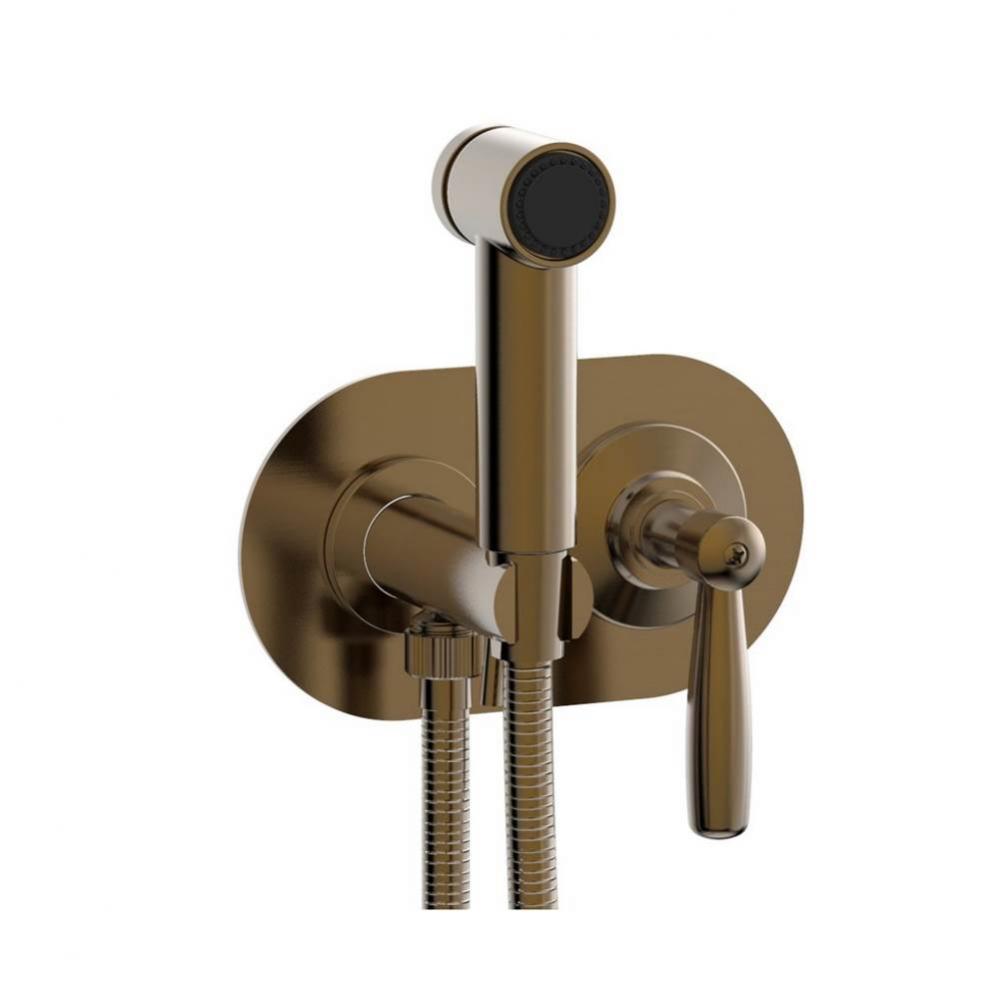 Wall Mounted Bidet Set Works, Lever Handle