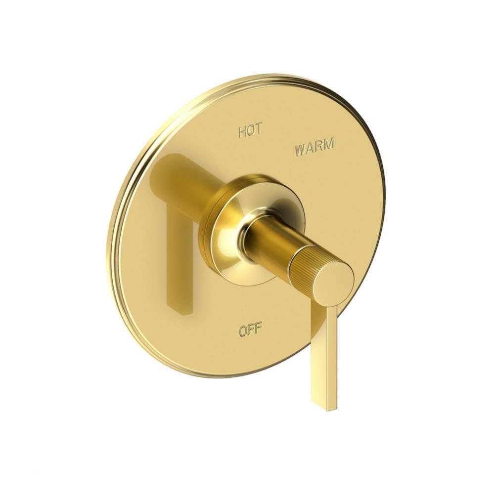 Balanced Pressure Shower Trim Plate with Handle. Less showerhead, arm and flange.