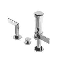 Newport Brass 2489-26 - Priya® Bidet Set