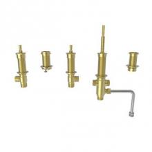 Newport Brass 1-698 - 3/4'' Valve, quick connect included.