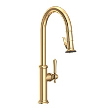 Newport Brass 1030-5173/03N - Chesterfield Pull-Down Kitchen Faucet - Trigger Spray Uncoated Polished Brass (Living, non-returna
