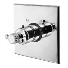 Newport Brass 3-1034TS/26 - 3/4'' Square Thermostatic Trim Plate with Handle