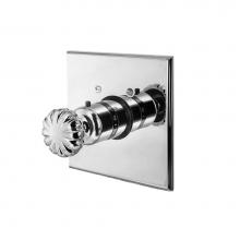 Newport Brass 3-874TS/26 - Square Thermostatic Trim Plate with Handle