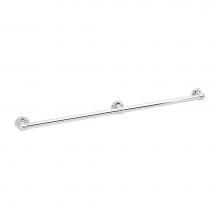 Ginger 4566/PC - 42'' Grab Bar