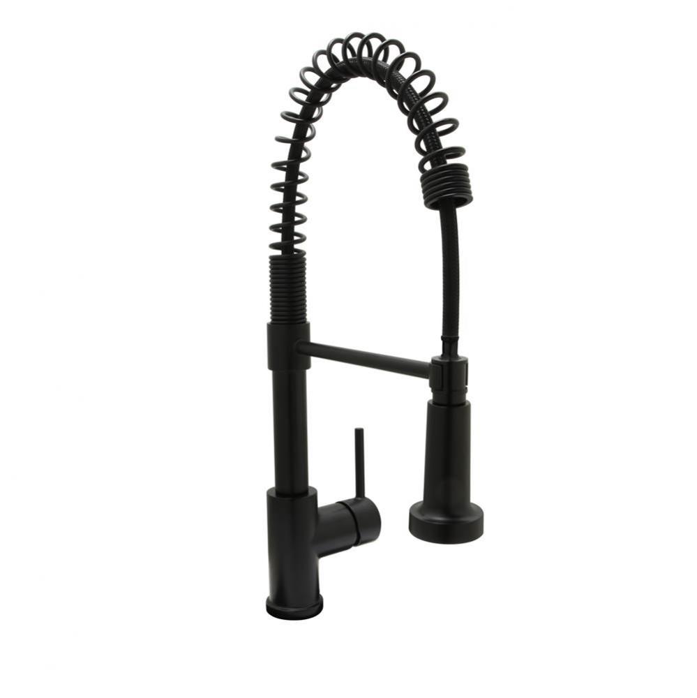 Rexford Professional Style Kitchen Faucet