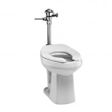 Mansfield Plumbing 131900001 - BOWL 1319 EL 10'' WHT 1.28