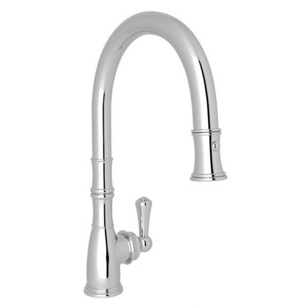 Georgian Era™ Pull-Down Kitchen Faucet