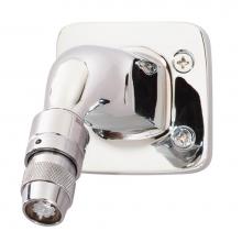 Symmons 4-385-A - Institutional Showerhead