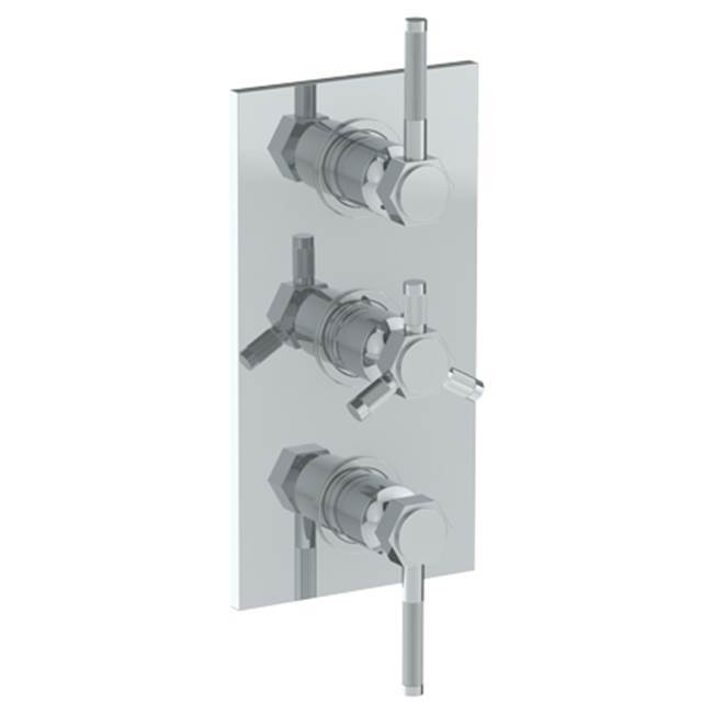 Wall Mounted Thermostatic Shower Trim with 2 built-in controls, 6 1/4'' x 12''