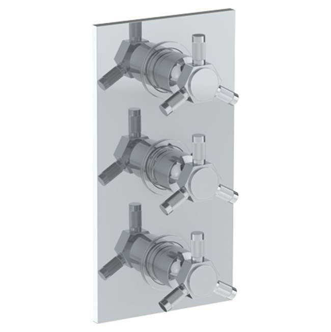 Wall Mounted Thermostatic Shower Trim with 2 built-in controls, 6 1/4'' x 12''