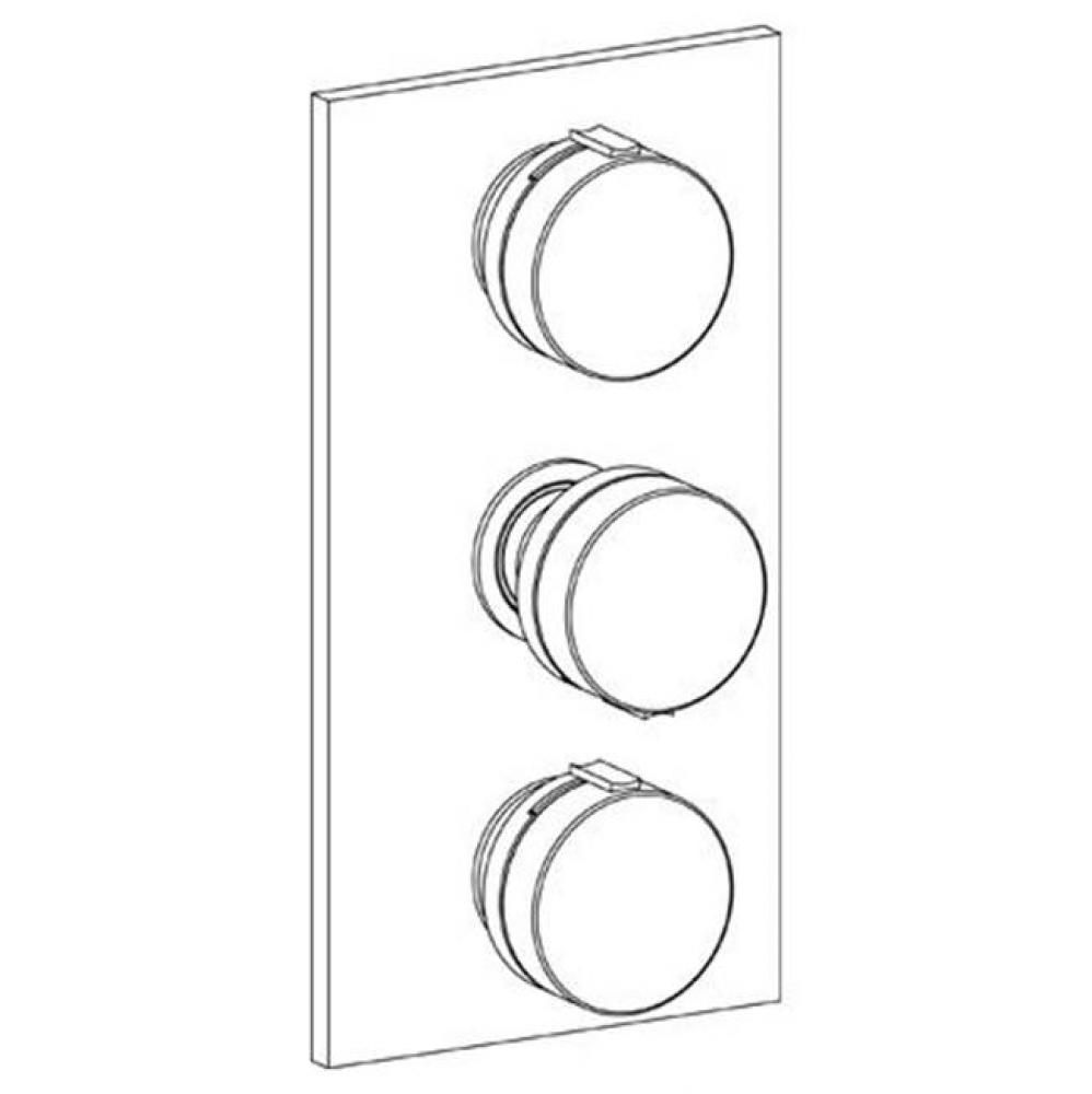 Wall Mounted Thermostatic Shower Trim with 2 built-in controls, 6 1/4'' x 12''