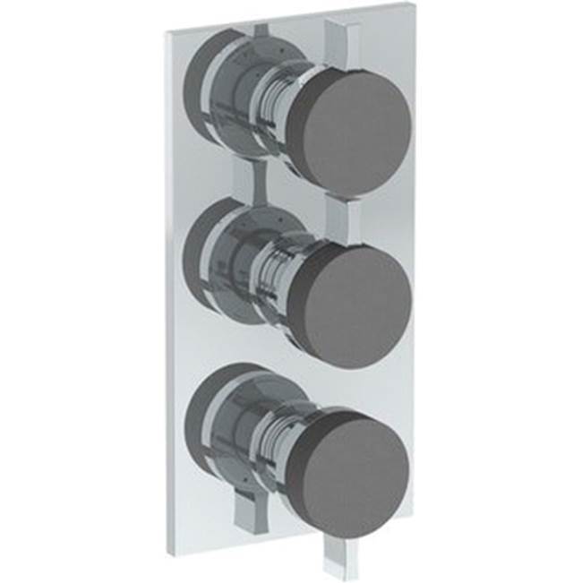 Wall Mounted Thermostatic Shower Trim with 2 built-in controls, 6 1/4'' x 12''