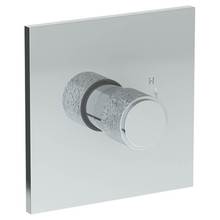 Watermark 27-P80-CL16-GP - Wall Mounted Pressure Balance Shower Trim, 7''