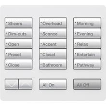 Lutron Electronics RR-T15RL-SW - RADIORA2 LG 15 BUTTON TT R/L KEYPAD SW