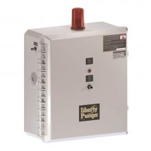 Liberty Pumps ISD24HS2=3-5 - Isd24Hs2=3-5 Duplex Control Panel With 50'' Power Cord