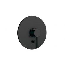 Aquabrass ABSTR4295EBK - R4295 Trim Set - 42355 Valve