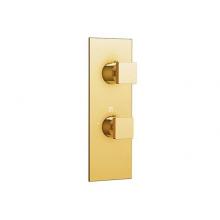 Aquabrass ABSTS9295BGD - S9295 Trim Set - 2 Way Non Shared - T12123 Valve