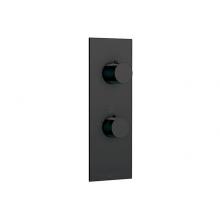Aquabrass ABSTSR9295EBK - Sr9295 Trim Set - 2 Way Non Shared - T12123 Valve