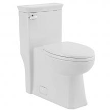 DXV D22025A101.415 - Belshire One-Piece Chair Height Elongated Toilet with Seat