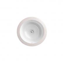 DXV D20120000.071 - Pop Uc Round Lav (Pet) - Bis