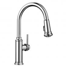 Blanco Canada 442501 - Empressa High Arc 1.5 Gpm Chrome