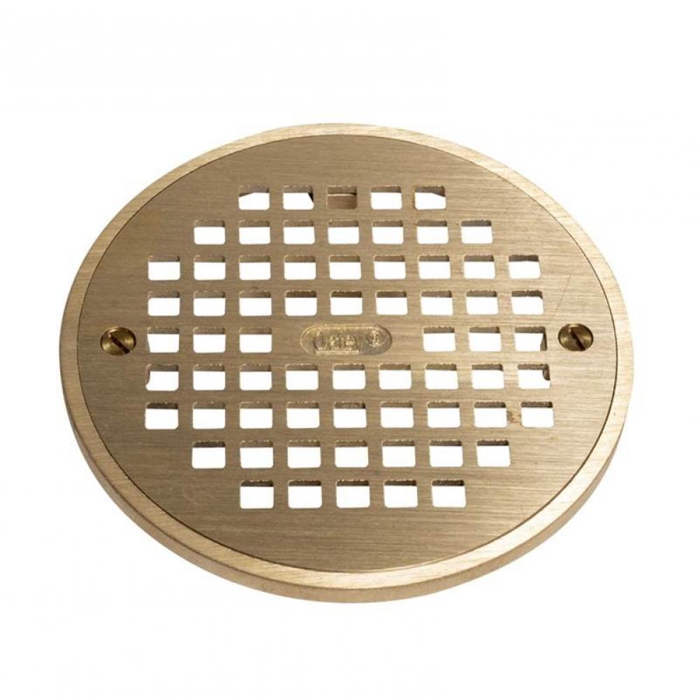 6 In. Brass Strainer And Ring