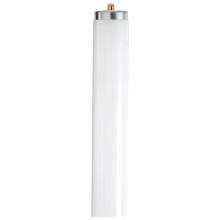 Satco S6469 - 24 watt; T12; Fluorescent; 4200K Cool White; 62 CRI; Single Pin