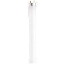 Satco S6528 - 25 watt; T8; Fluorescent; 4100K Cool White; 75 CRI; Medium Bi Pin