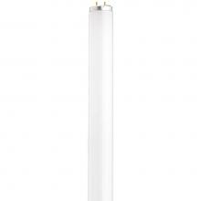 Satco S6561 - 14 Watt; T12; Fluorescent; 3000K Warm White; 52 CRI; Medium Bi Pin base