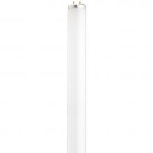 Satco S6567 - 20 watt; T12; Fluorescent; 3000K Warm White; 52 CRI; Medium Bi Pin