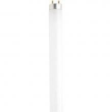 Satco S6521 - 17 watt; T8; Fluorescent; 3500K Neutral White; 75 CRI; Medium Bi Pin