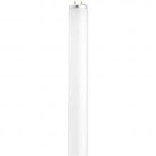 Satco S6572 - 30 watt; T12; Fluorescent; 6500K Daylight; 76 CRI; Medium Bi Pin