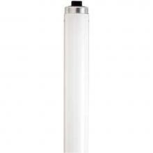 Satco S6590 - 215 watt; T12; Shatter Proof Fluorescent; 4200K Cool White; 62 CRI; Recessed Double Contact