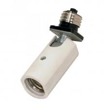 Satco SF77/606 - Socket Adjustable Light
