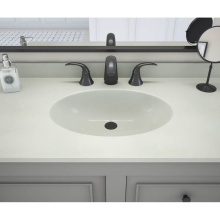 Swan CH02261.141 - CH1B2261 Chesapeake 22 x 61 Single Bowl Vanity Top in Mountain Mist