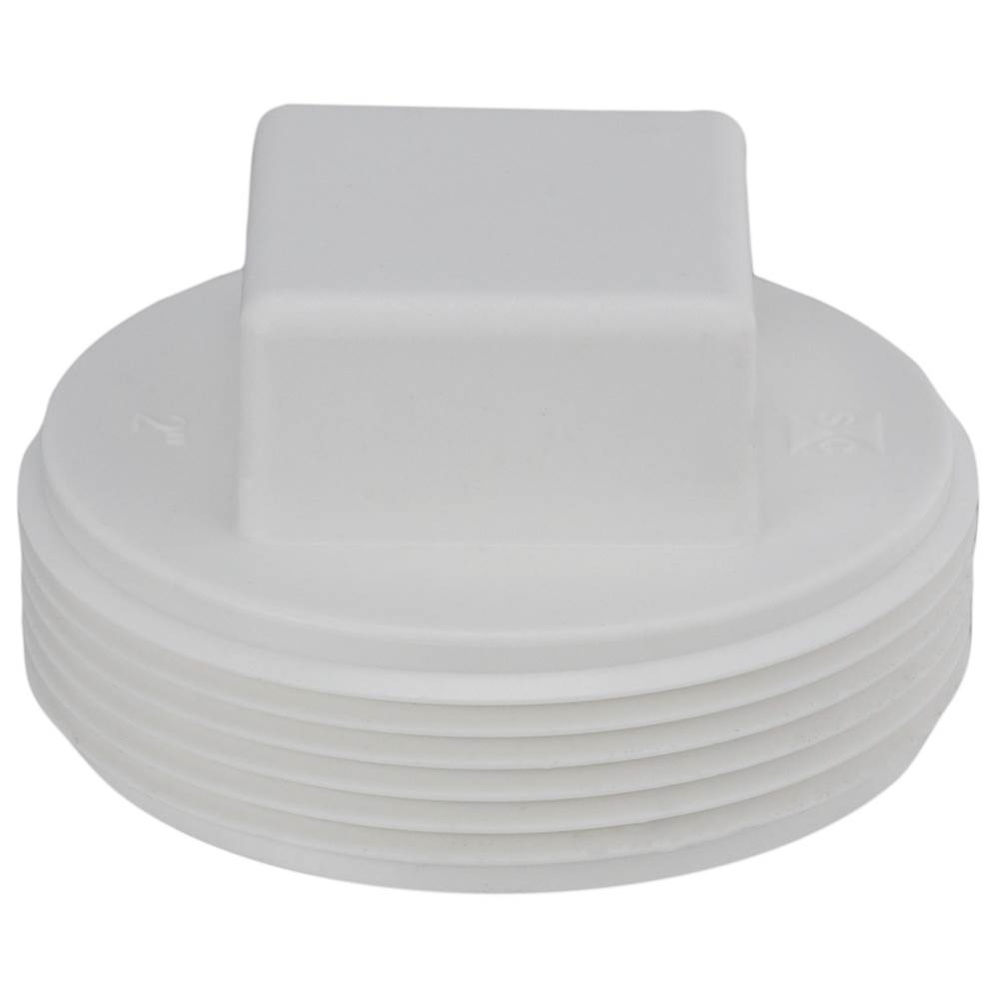 Plug Pp Wht 2 Raised Sq Hd