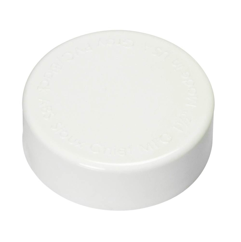 Test Cap 1-1/2 Pvc Hardhat