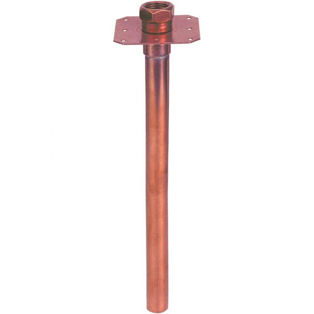 1/2 Fip x 1/2 Male Sweat