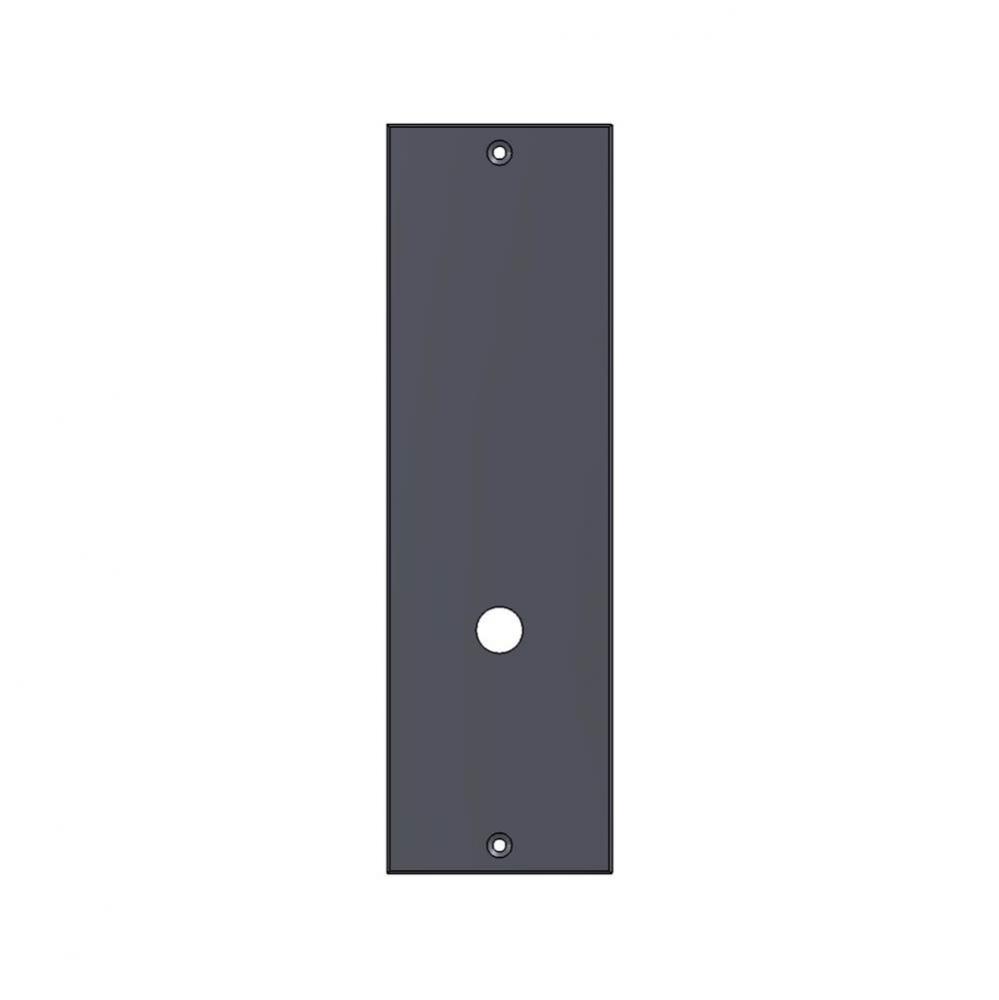 2'' x 10'' Novus push plate.