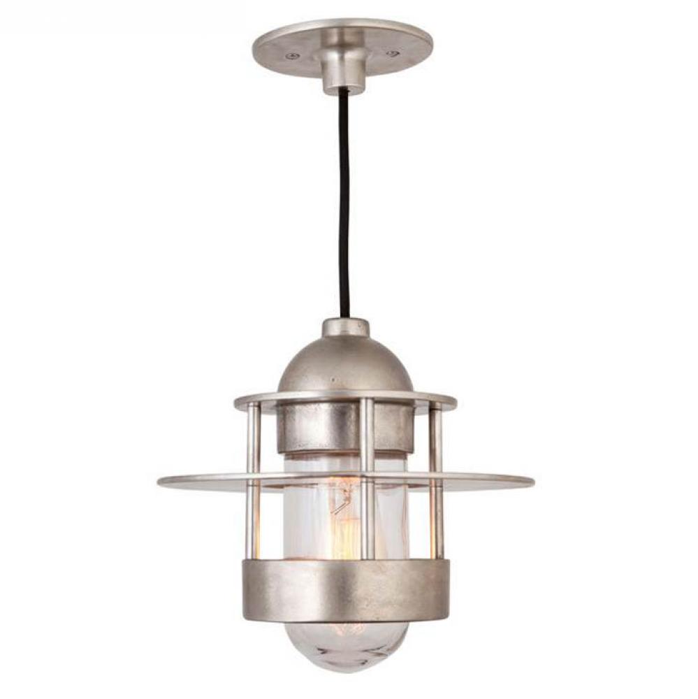 Hudson pendant light w/ring & disk. Includes 60W LED clear bulb. UL listed.