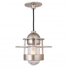 Sun Valley Bronze PEND-1001 - Hudson pendant light w/ring & disk. Includes 60W LED clear bulb. UL listed.