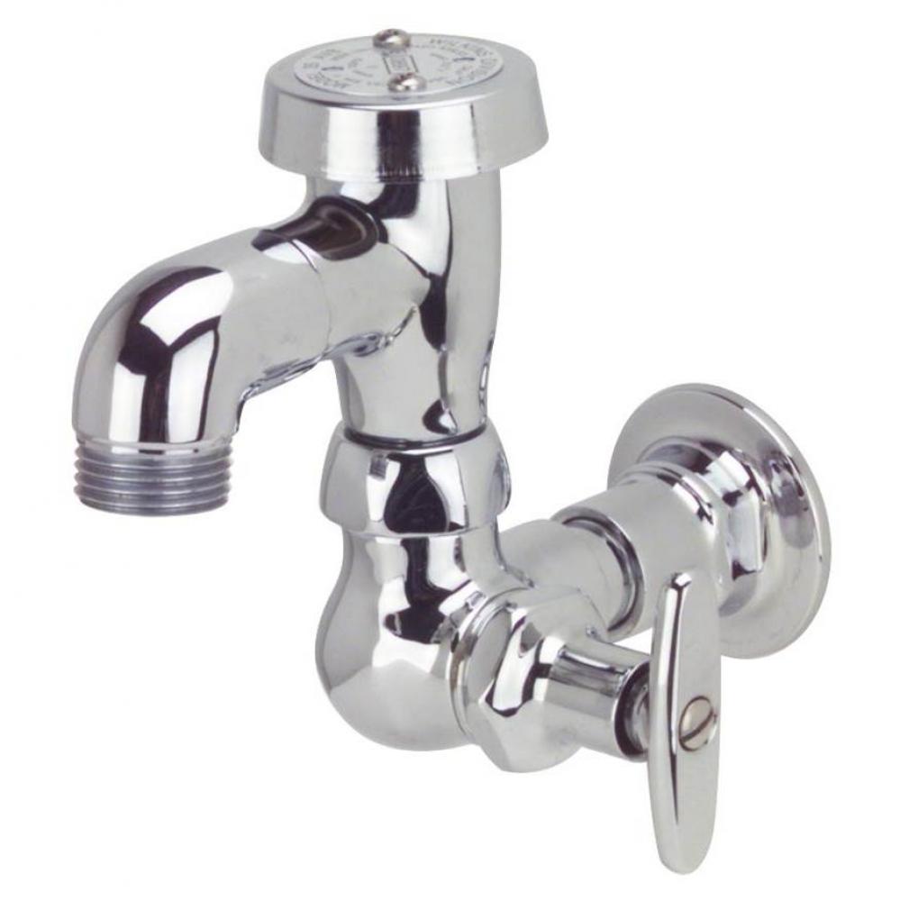 FAUCET, BEDPAN WASHER 2 1/2'' CAST SPOUT