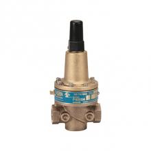 Zurn Industries 12-P4000AHR - 1/2'' P4000AHR Pressure Relief Valve with high pressure range