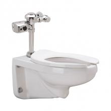 Zurn Industries Z.WC1.S - Sensor Wall Bowl System