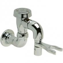 Zurn Industries Z800P0-HK-SE - Wall Supply with a 1/2'' Vacuum Breaker and Hose Hook.