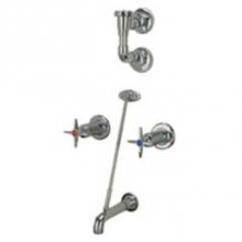 Zurn Industries Z873E2-EVB-CS-IS - FAUCET, CONC. SHOWER VALVE ''E'', ''2'', ''-EVB&
